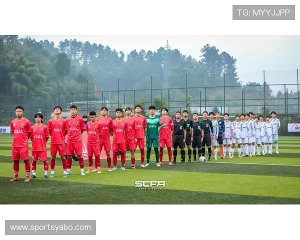 亚博体育足球官网2024最新赛事信息与赛程安排全攻略